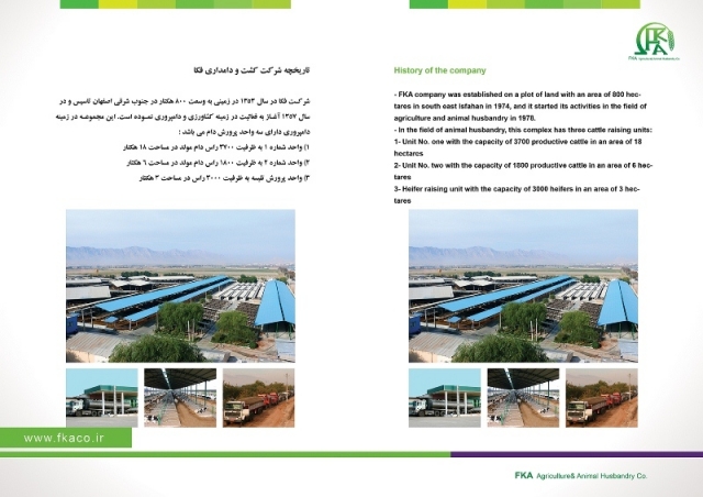 کاتالوگ شرکت