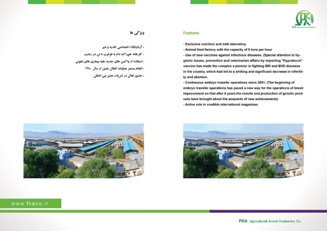 کاتالوگ شرکت
