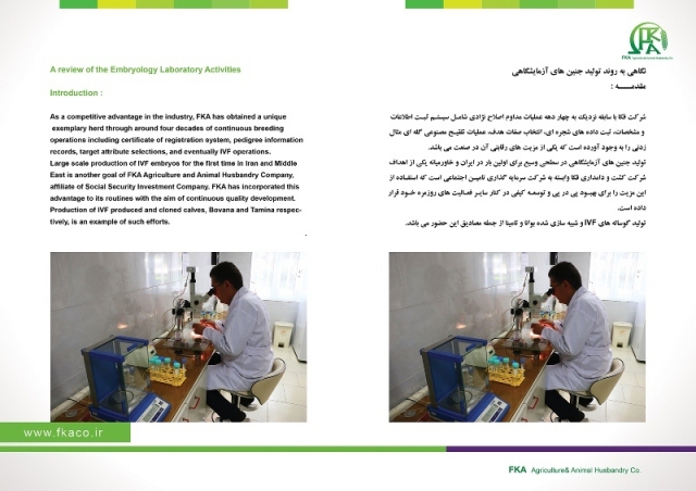 کاتالوگ شرکت