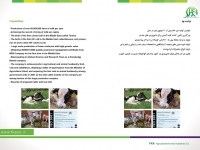 کاتالوگ شرکت
