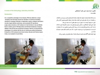 کاتالوگ شرکت
