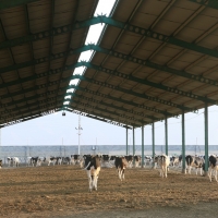 یونیت 3