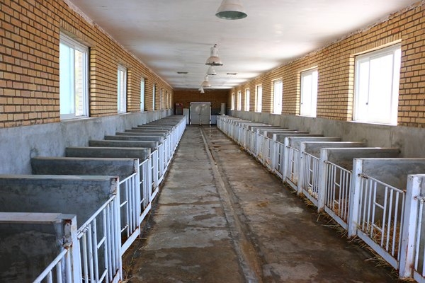 Unit 1
