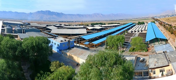 Unit 1