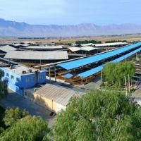Unit 1