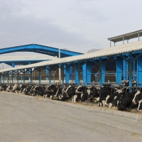 Unit 2