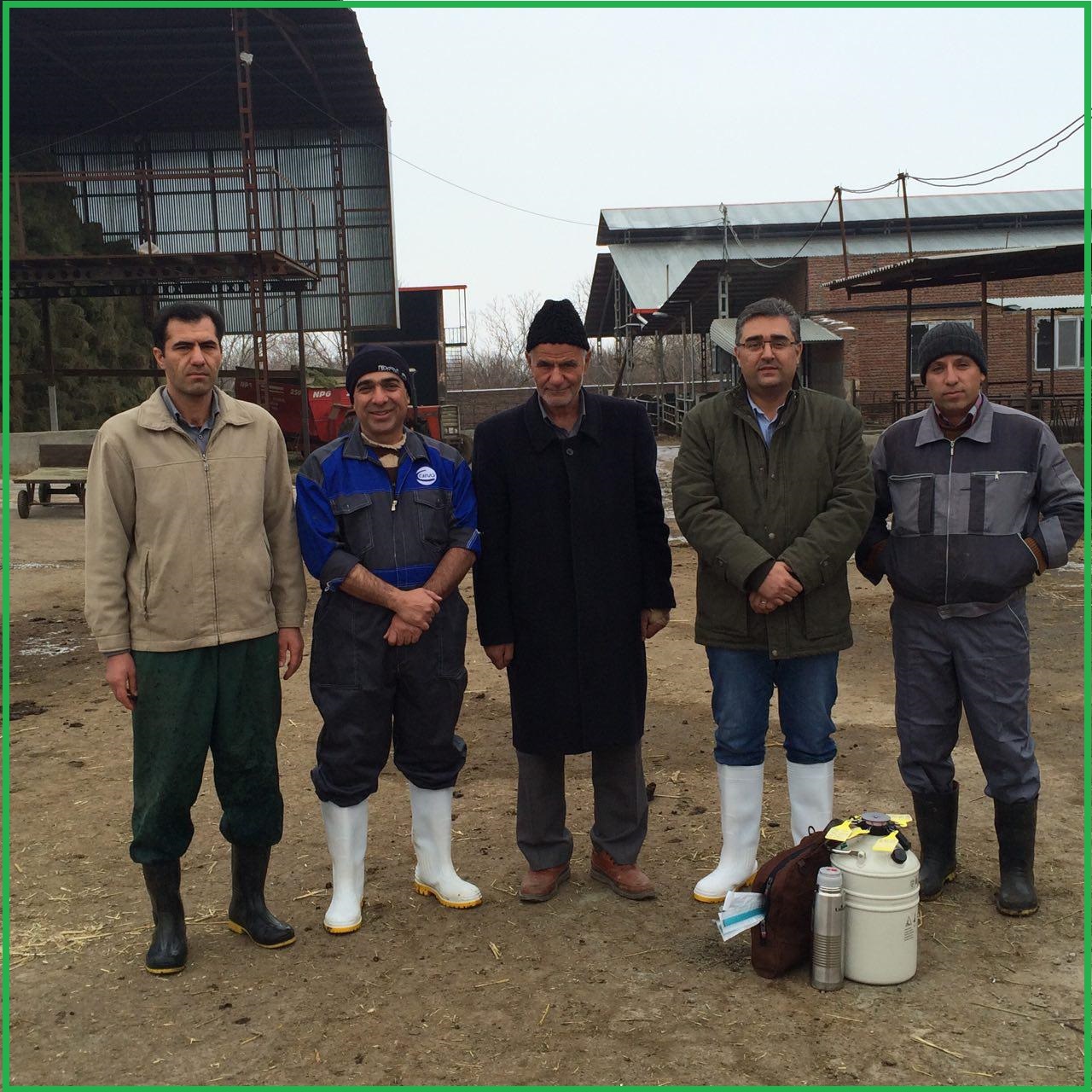 photo 2015-12-31 08-52-52